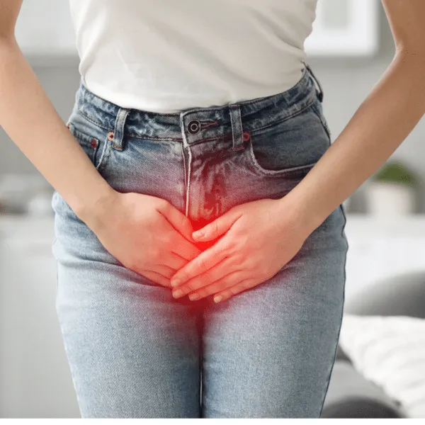Pelvic and Urinary Tract Ultrasound Scan