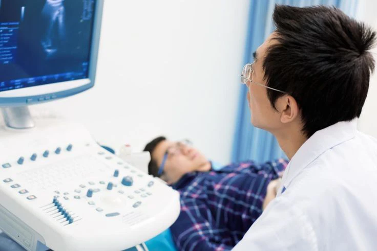 Testes & Scrotum Scan