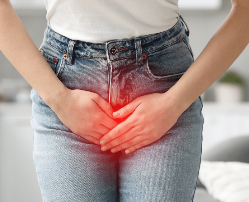 Pelvic and Urinary Tract Ultrasound Scan
